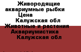 Живородящие аквариумные рыбки   › Цена ­ 30-40-50 - Калужская обл. Животные и растения » Аквариумистика   . Калужская обл.